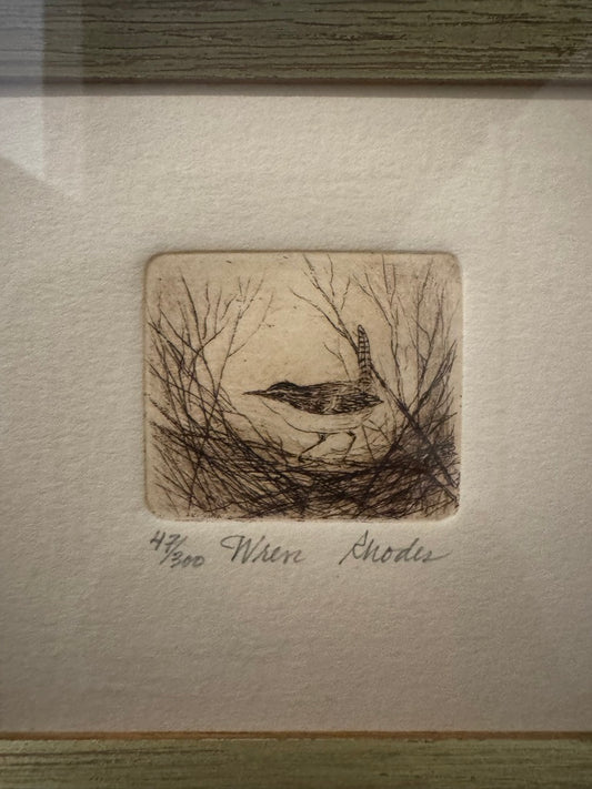 Etching of a Wren