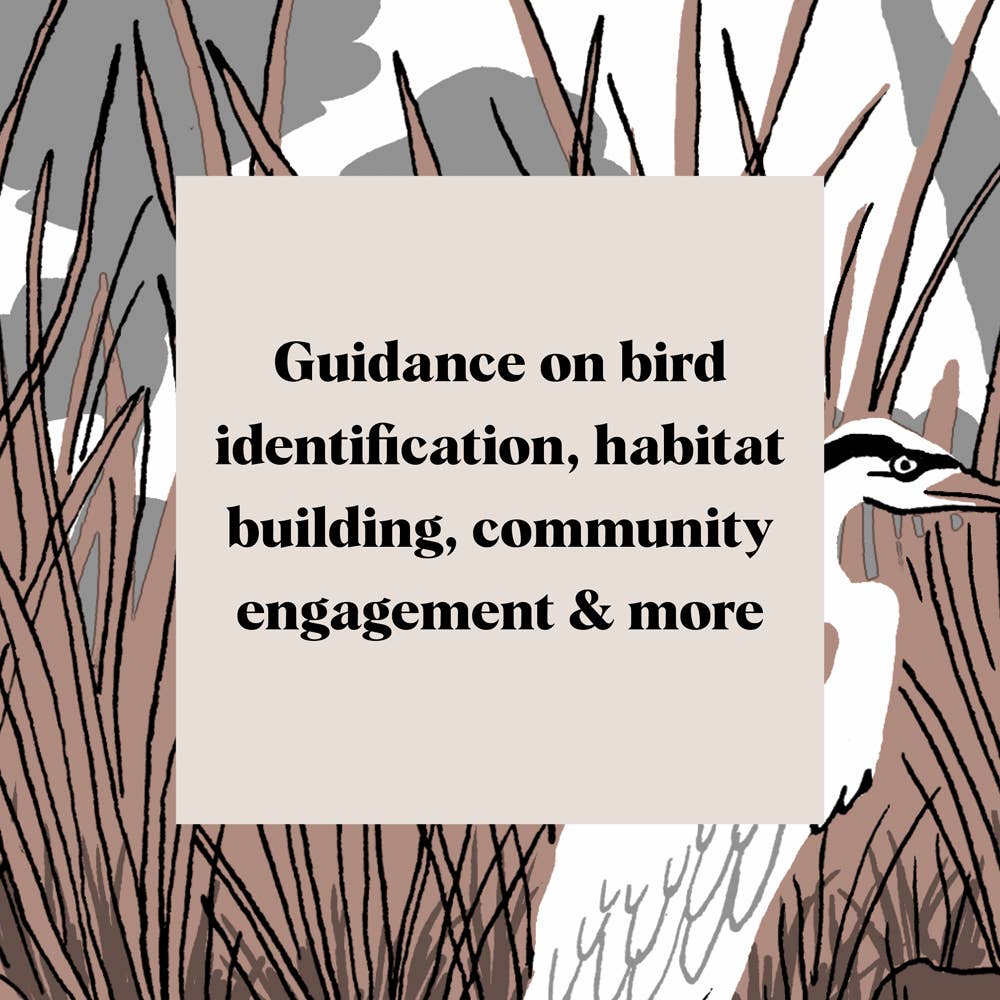 Pocket Nature: Bird-Watching