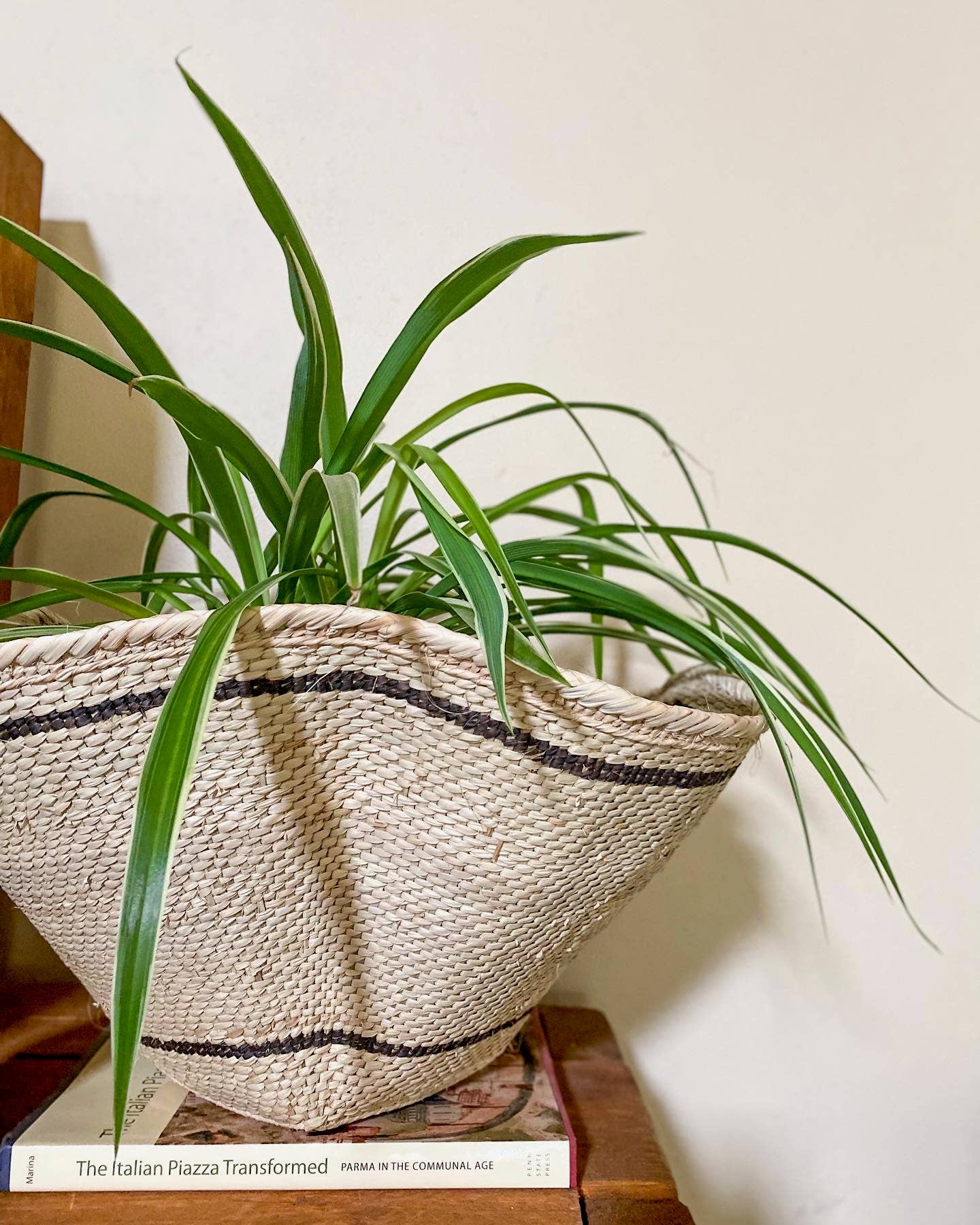 Striped and Waved Palm Leaf Dancing Basket