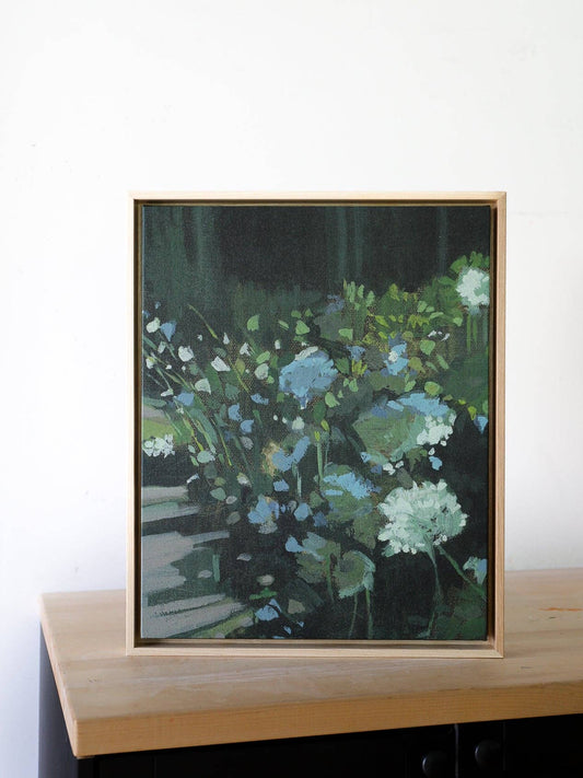 Queen Anne's Lace Study | Stretched Print on Canvas