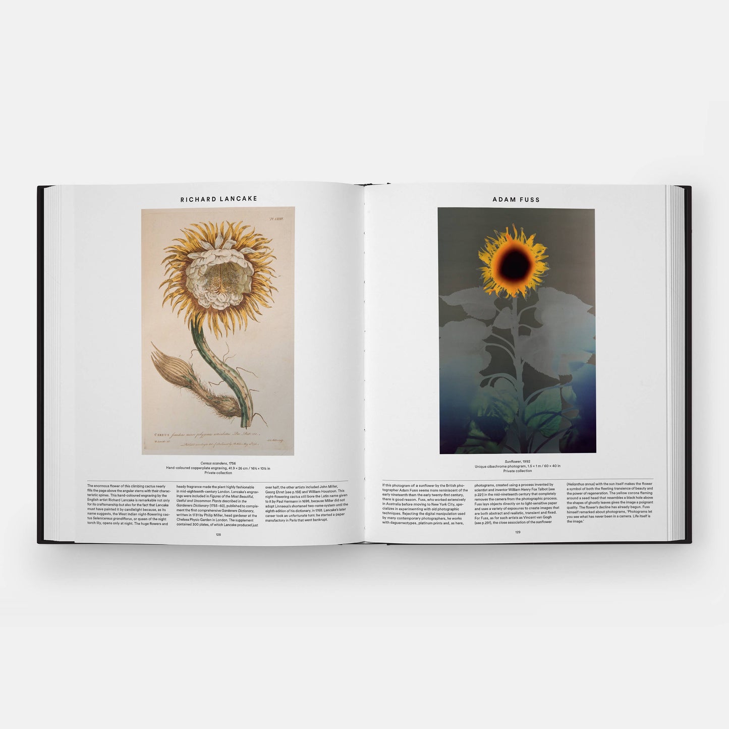 Plant: Exploring the Botanical World, Compact Format