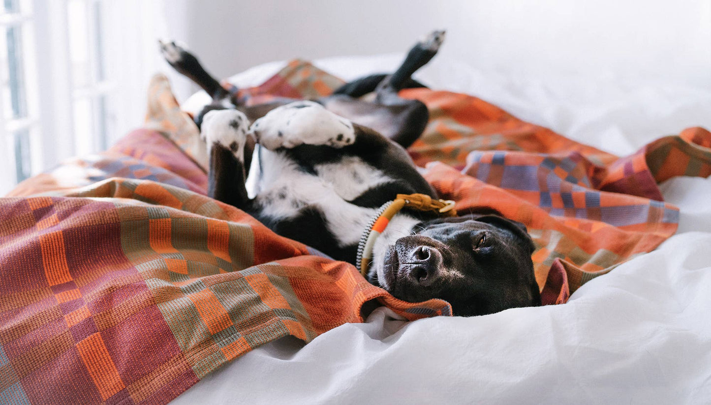 Fido Dog Blanket