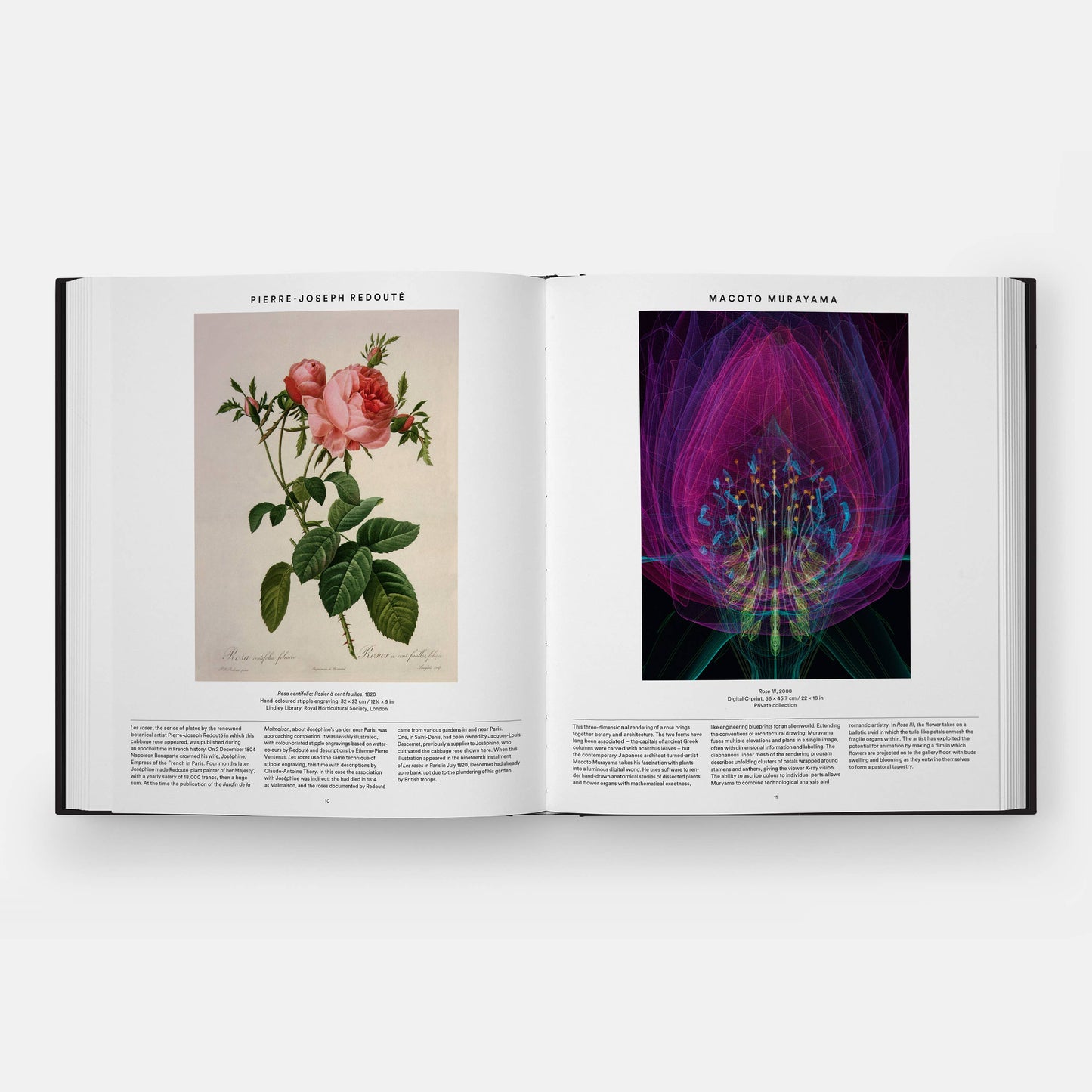 Plant: Exploring the Botanical World, Compact Format
