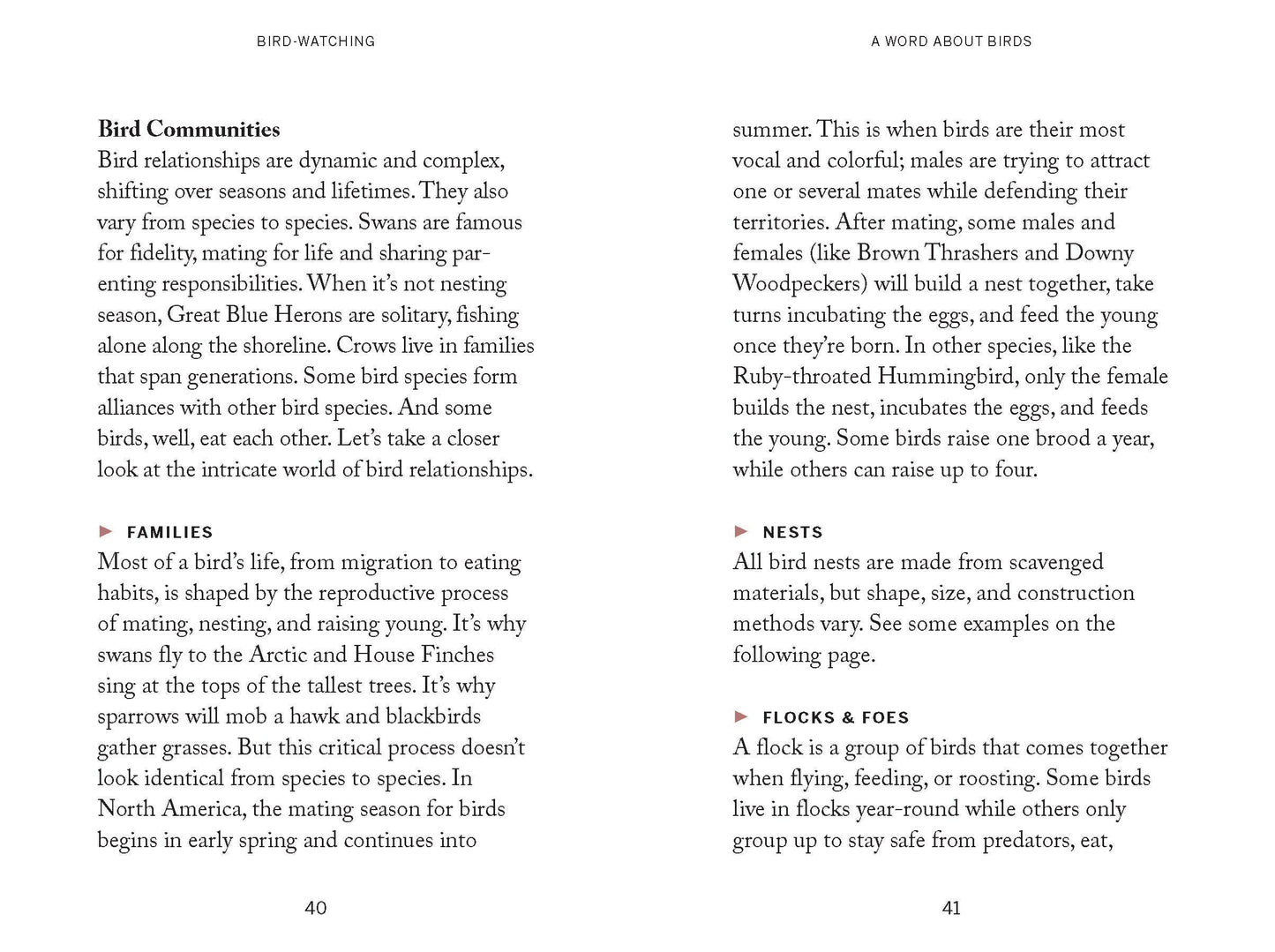 Pocket Nature: Bird-Watching