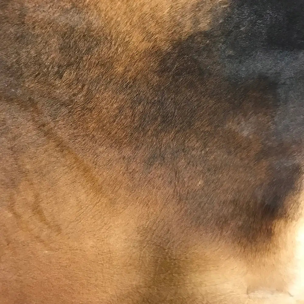 Brown with Black Cowhide