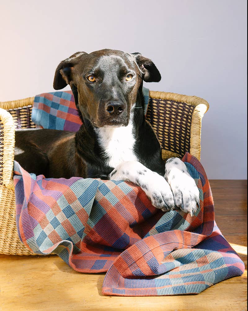Fido Dog Blanket