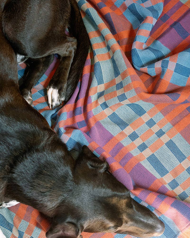 Fido Dog Blanket