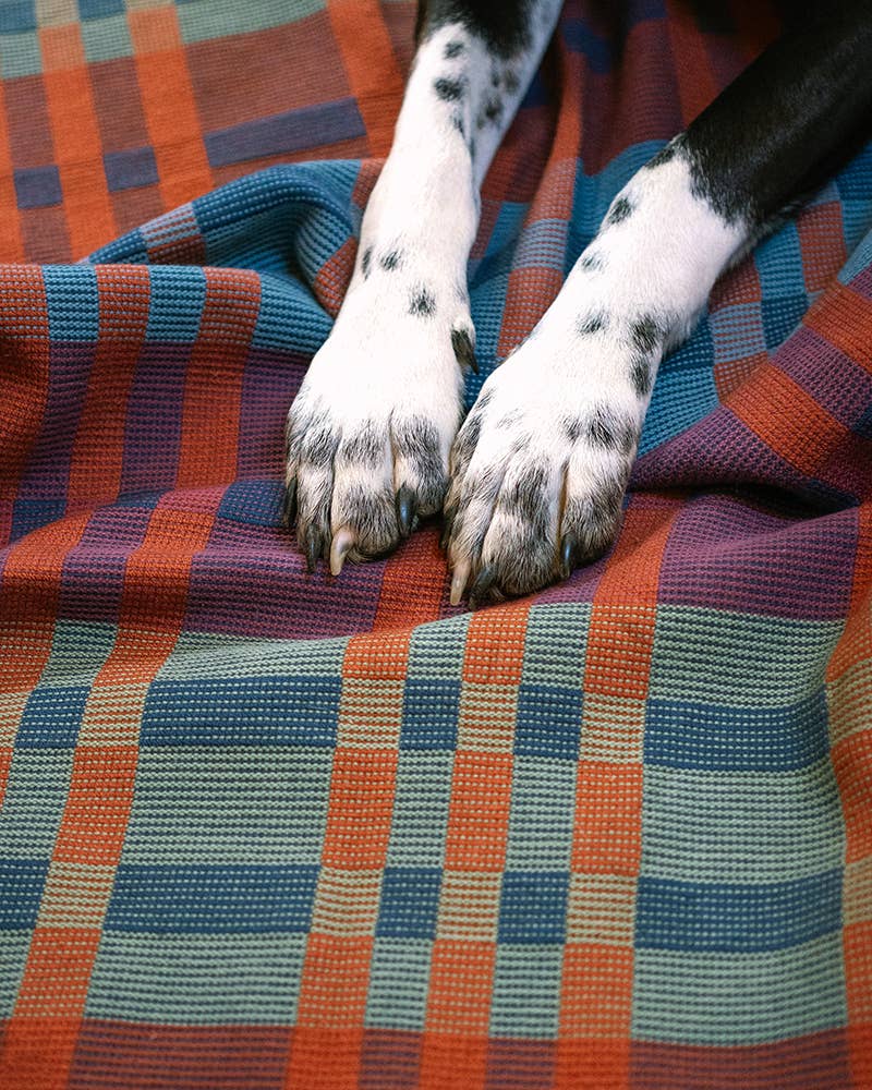 Fido Dog Blanket