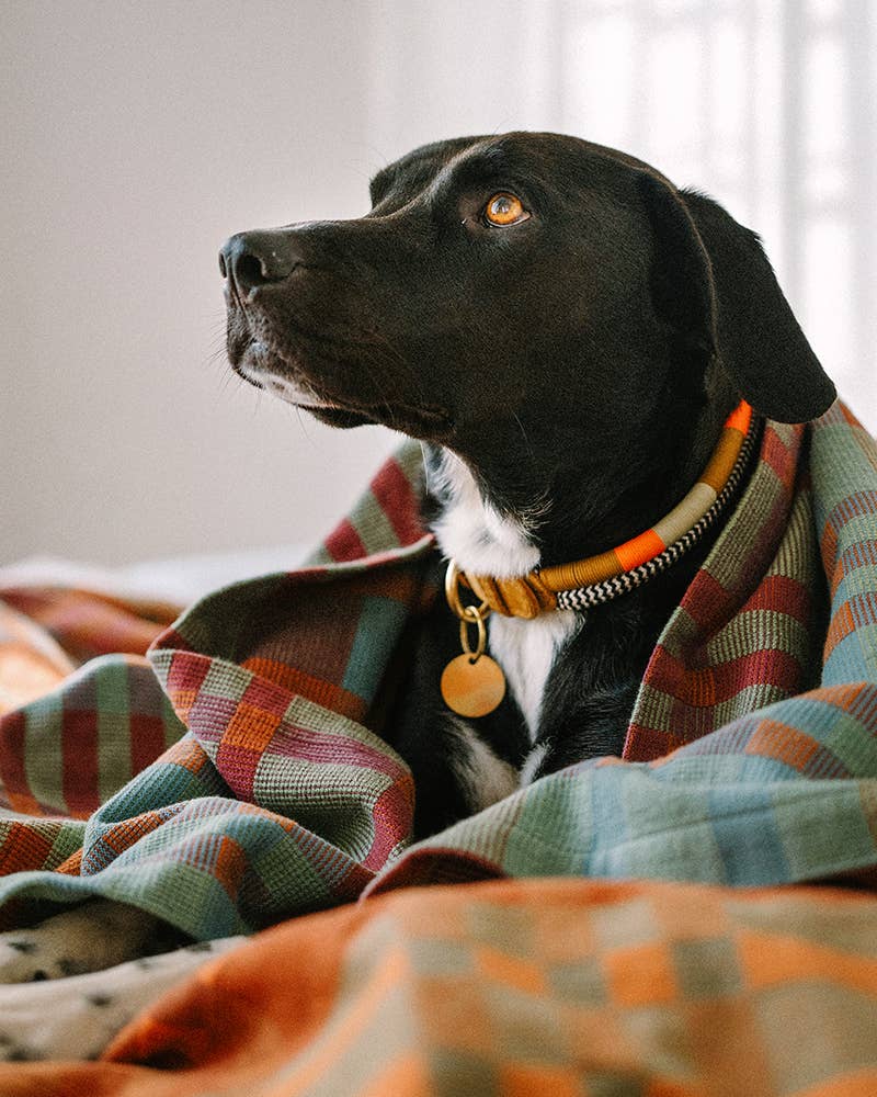 Fido Dog Blanket