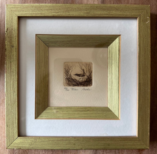 Etching of a Wren