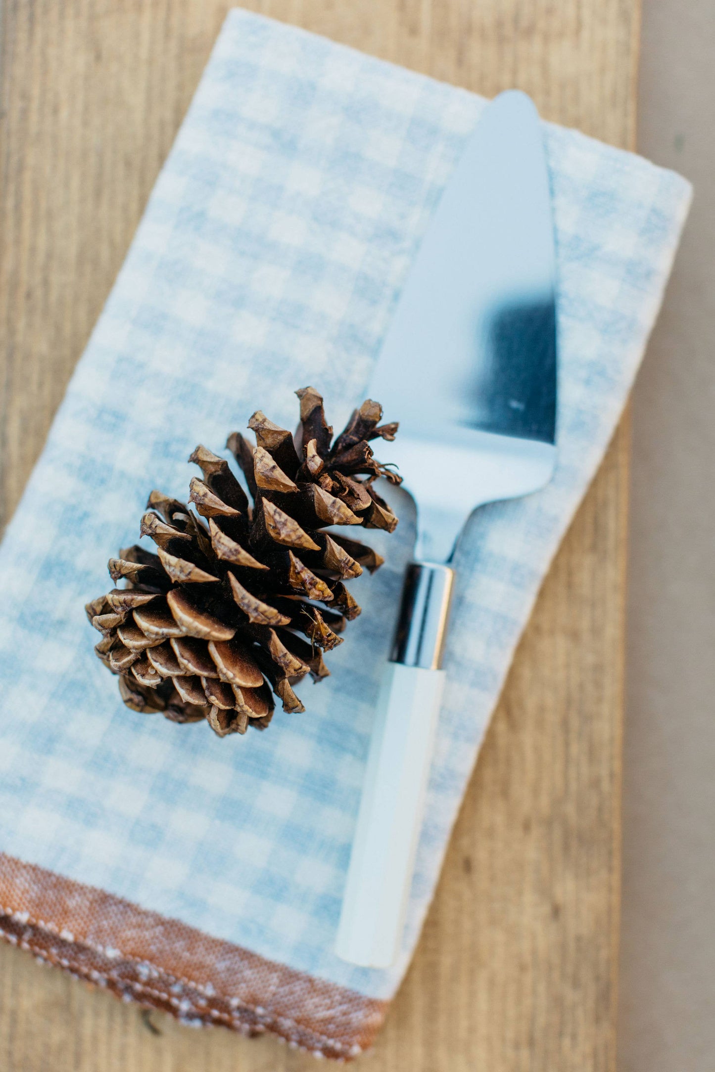 Two-Tone Gingham Blue/Cognac Napkins 20x20 - Set of 4