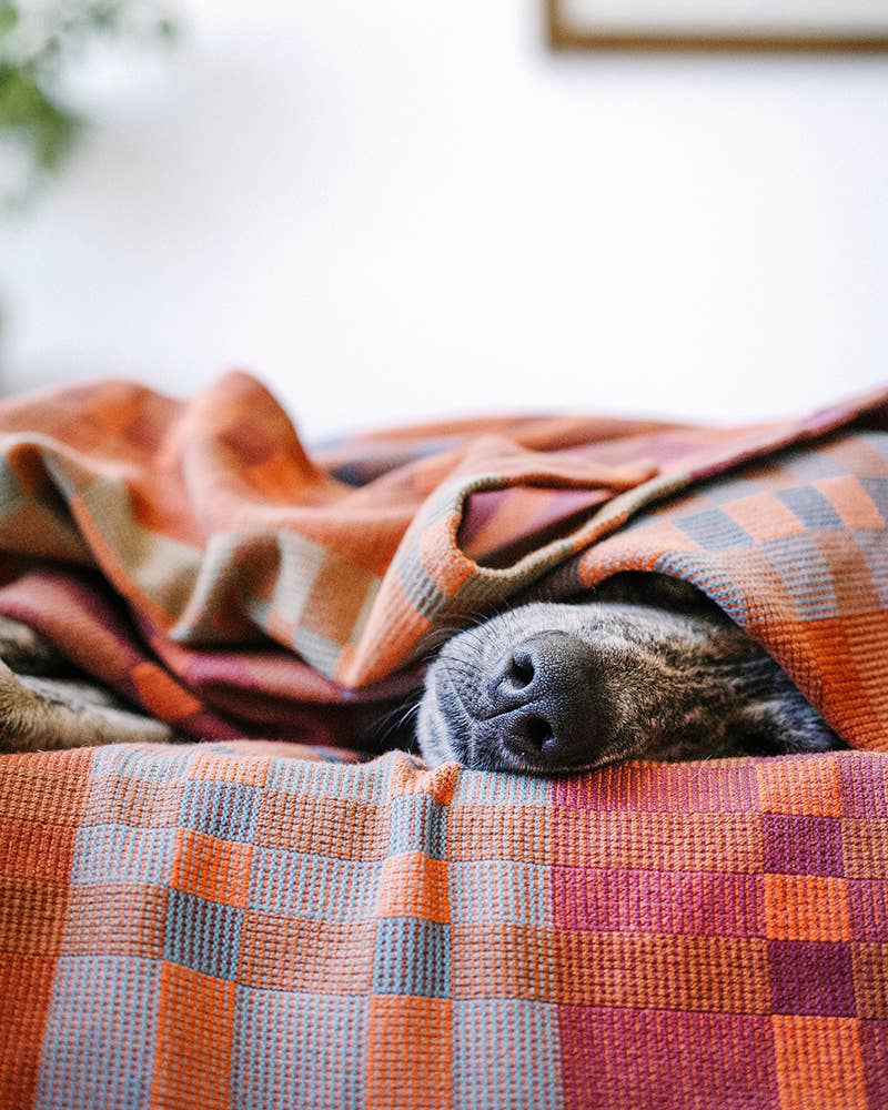 Fido Dog Blanket