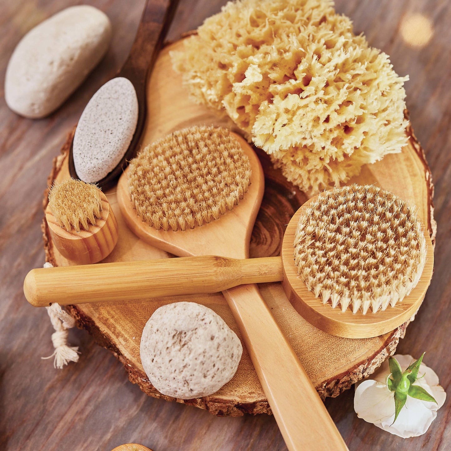 Bath Sea Sponge Bulk - Large 5.5"