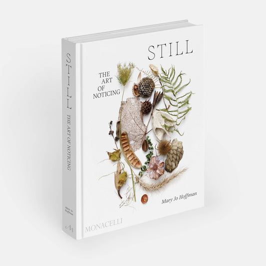 STILL: The Art of Noticing
