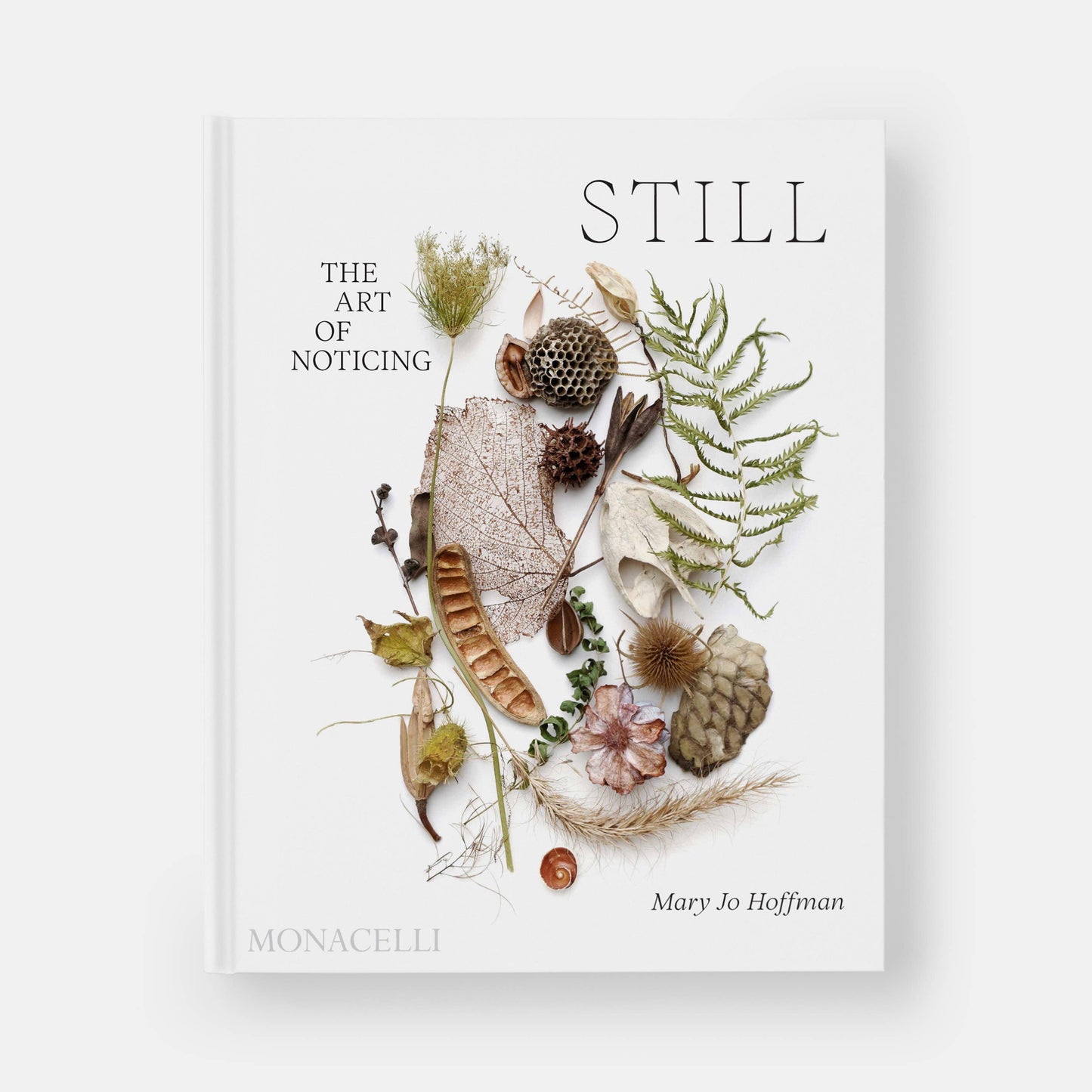 STILL: The Art of Noticing