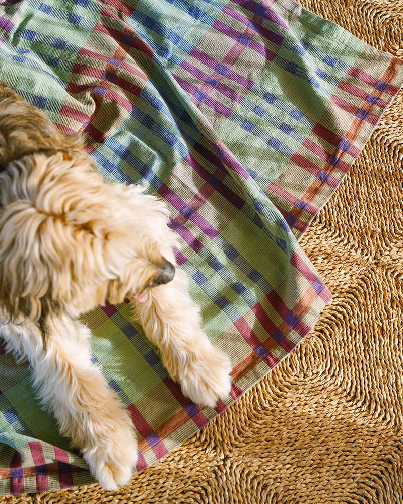Fido Dog Blanket