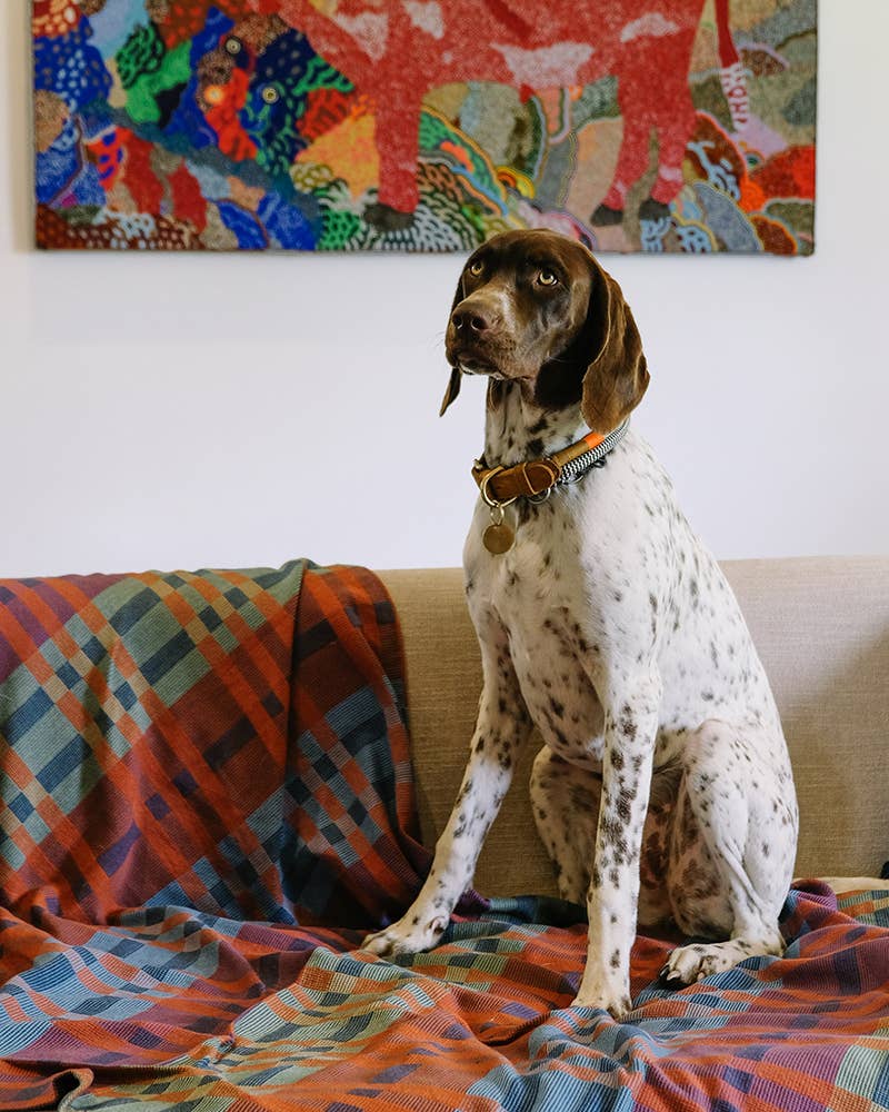 Fido Dog Blanket