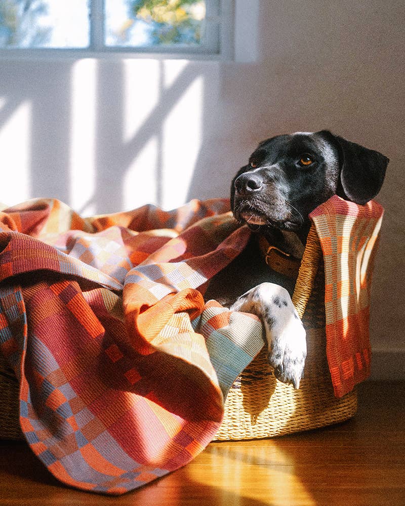 Fido Dog Blanket